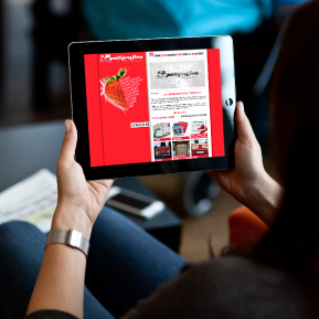 SITI WEB